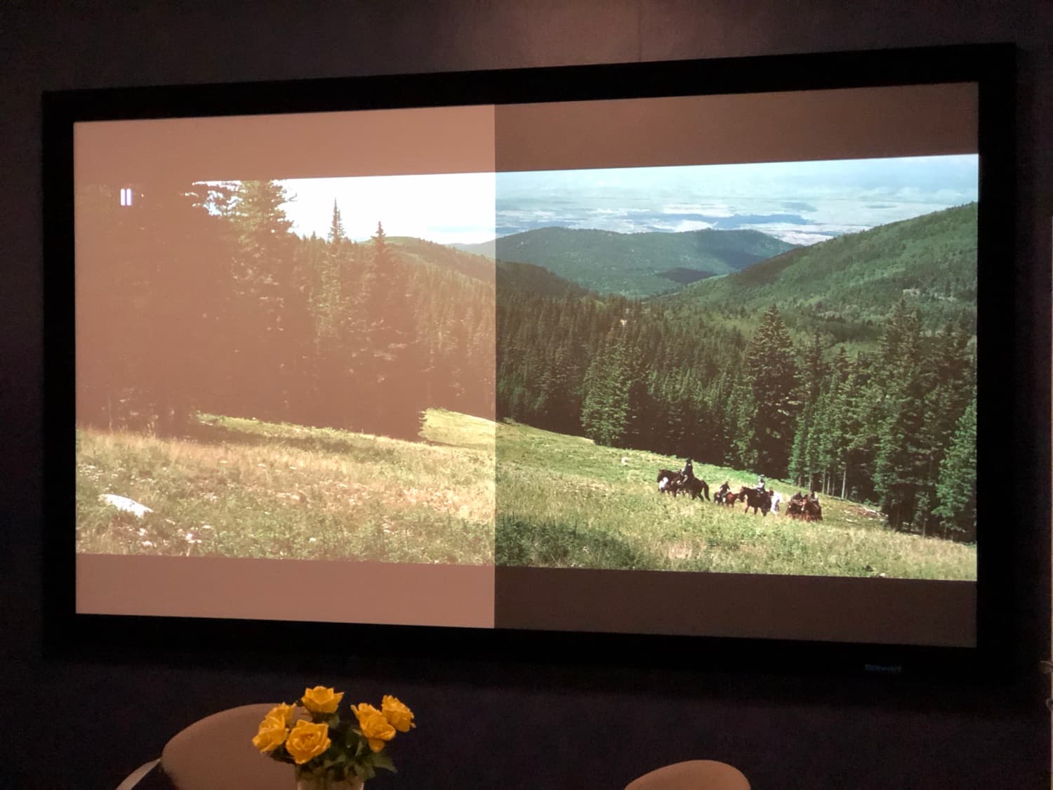 Bild auf der Leinwand im abgedunkelten Raum